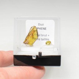 SPHENE Duo - cut stone and crystallised stone