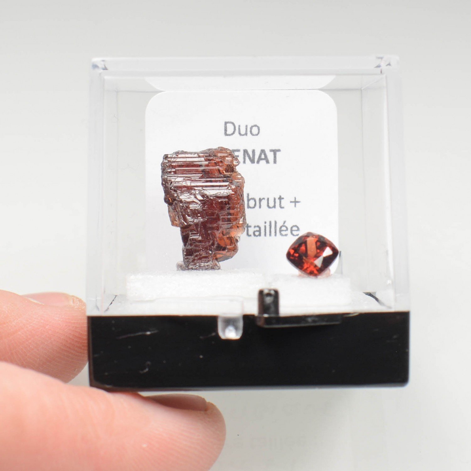 GARNET duo - cut stone and rough stone