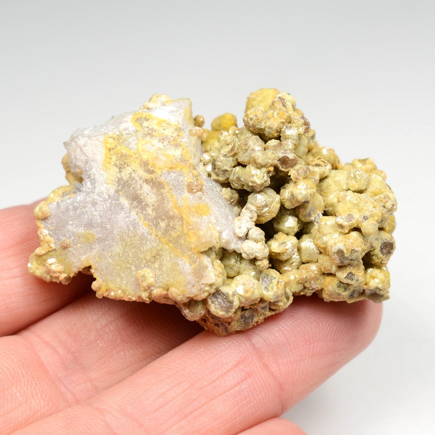 Pyromorphite - Les Farges, Ussel, Corrèze, France