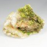 Pyromorphite - Les Farges, Ussel, Corrèze, France