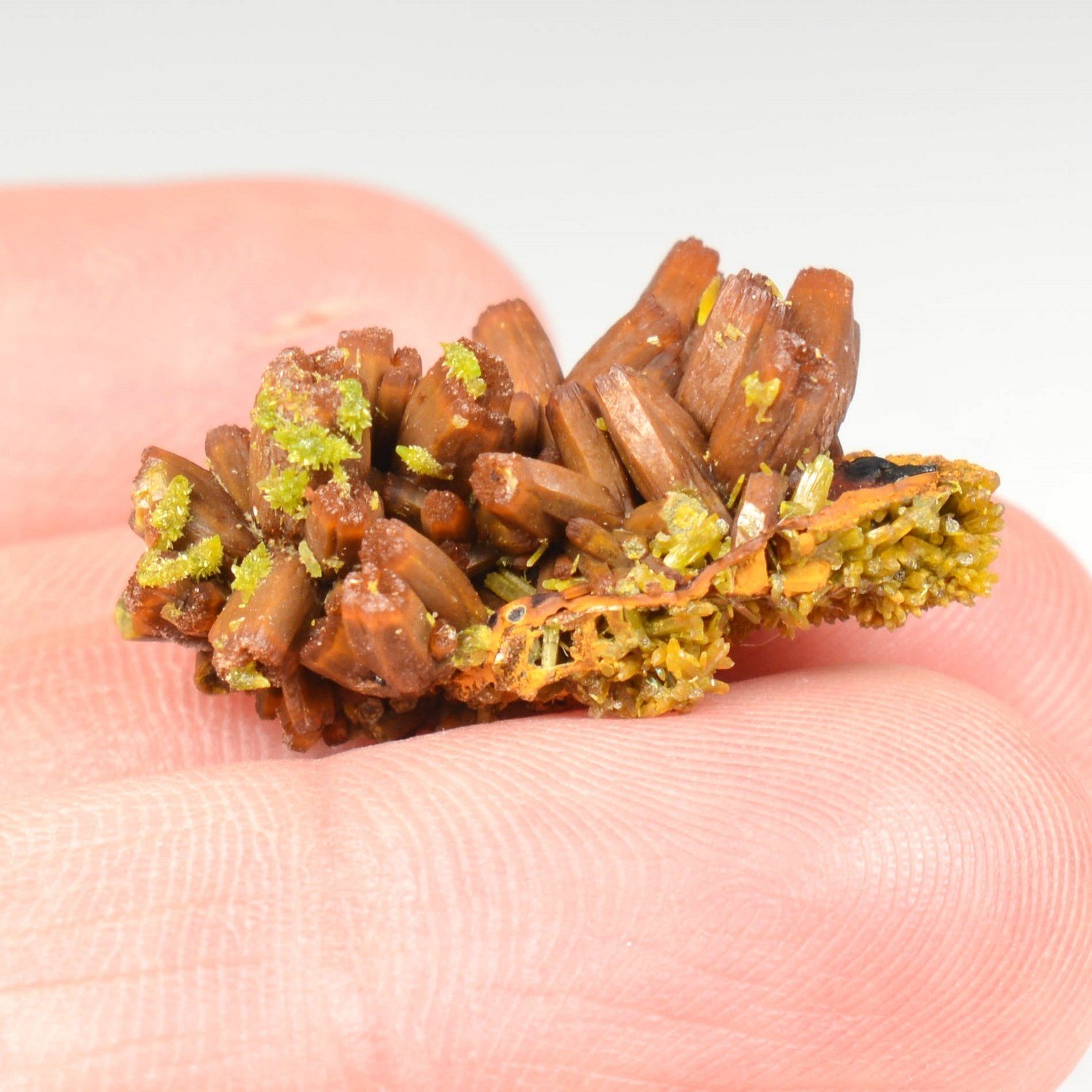 Pyromorphite - Les Farges, Ussel, Corrèze, France