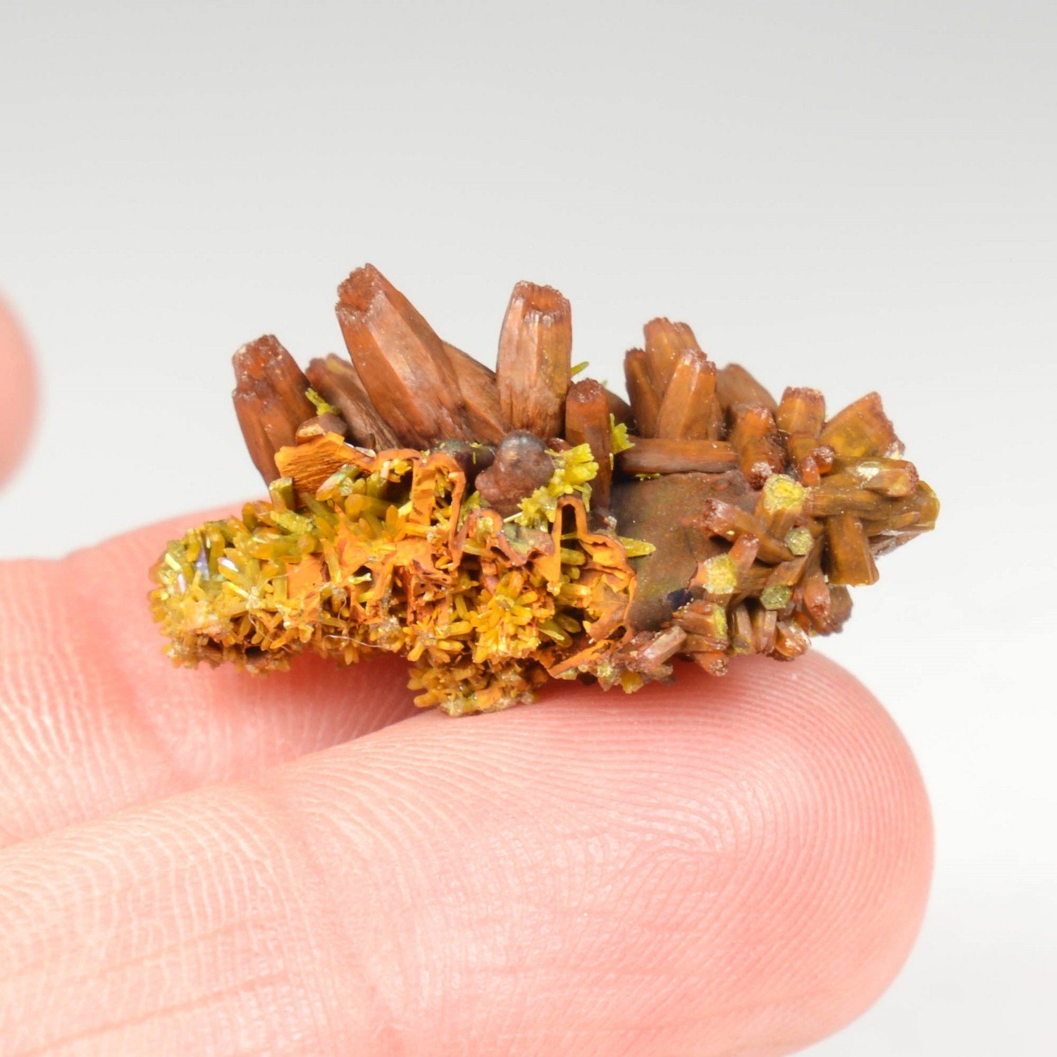 Pyromorphite - Les Farges, Ussel, Corrèze, France