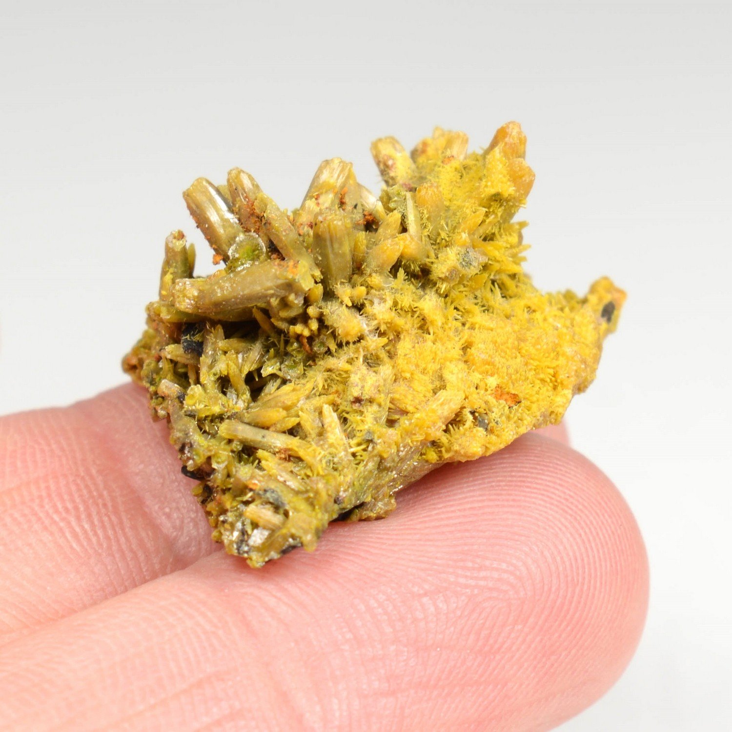 Pyromorphite - Les Farges, Ussel, Corrèze, France
