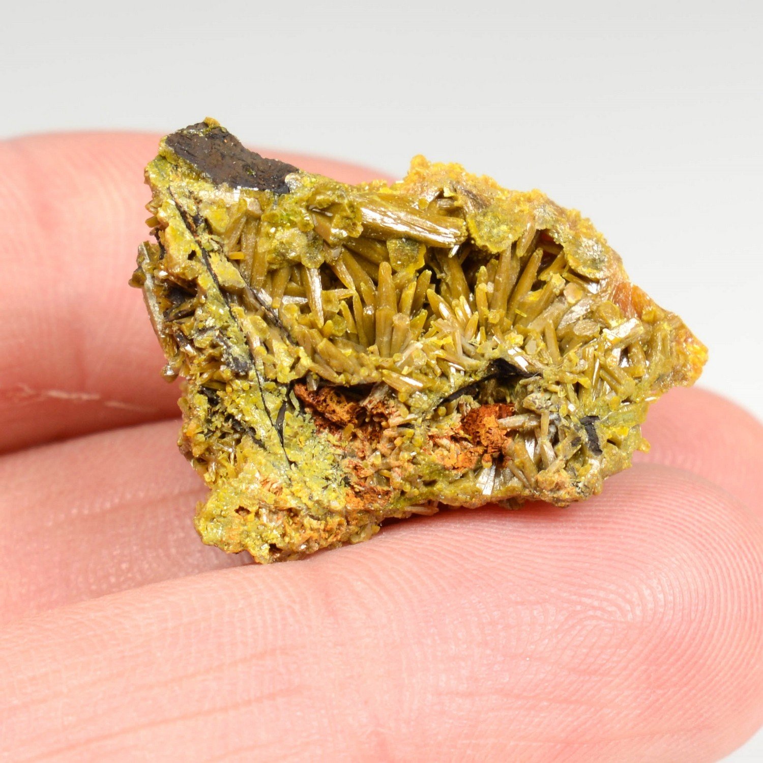 Pyromorphite - Les Farges, Ussel, Corrèze, France