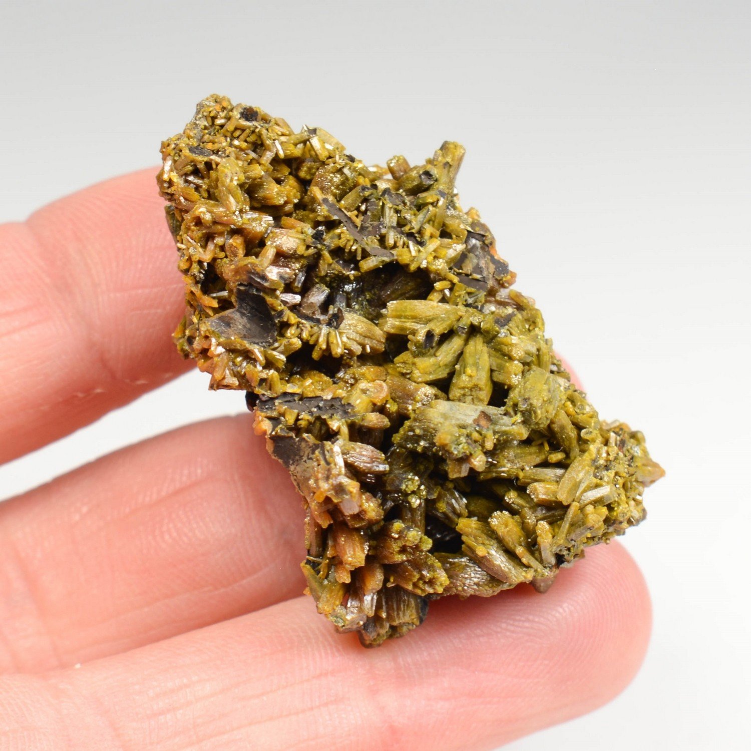 Pyromorphite - Les Farges, Ussel, Corrèze, France