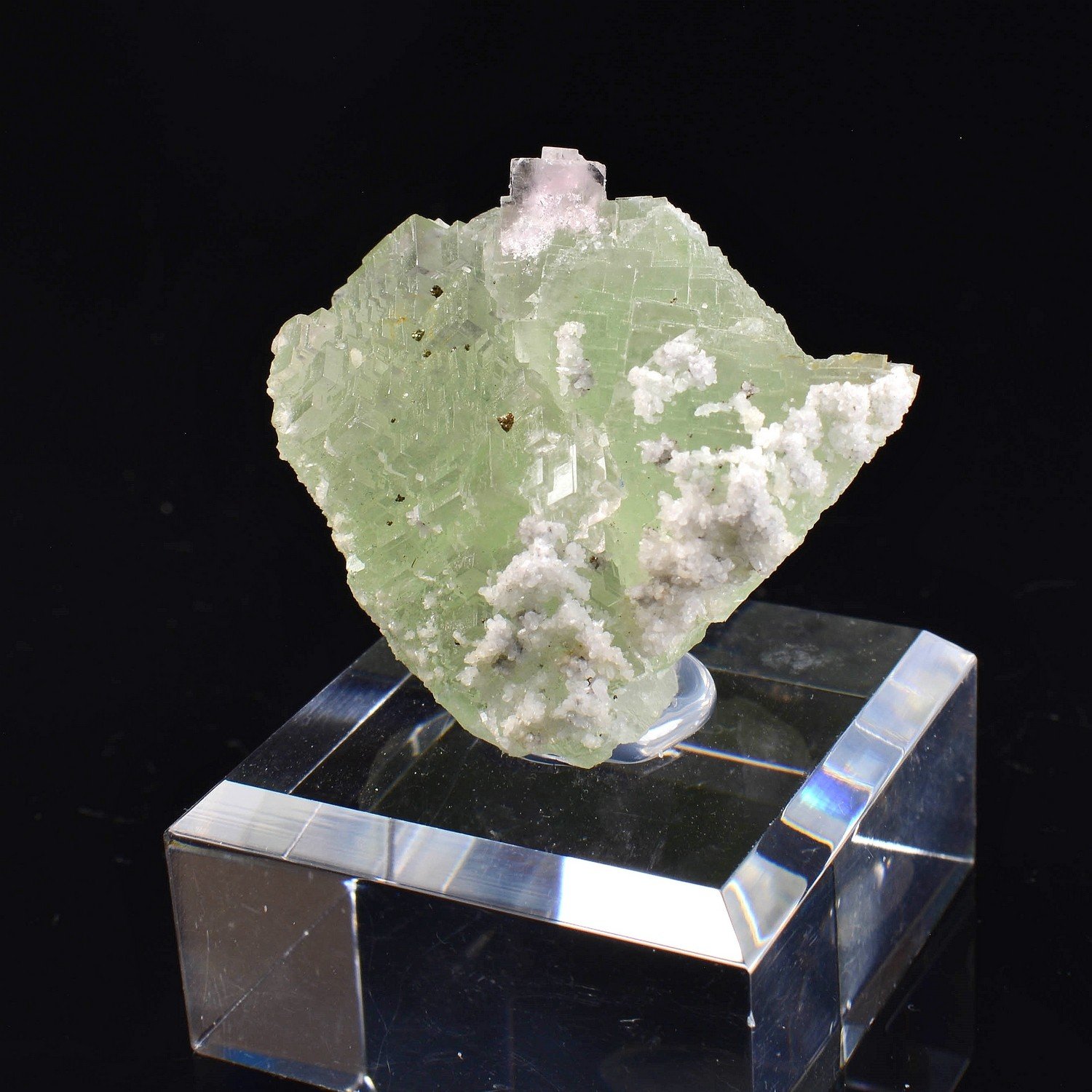 Fluorine - El Hamman, Maroc