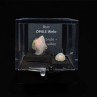 OPAL Duo - cut stone and crystallised stone