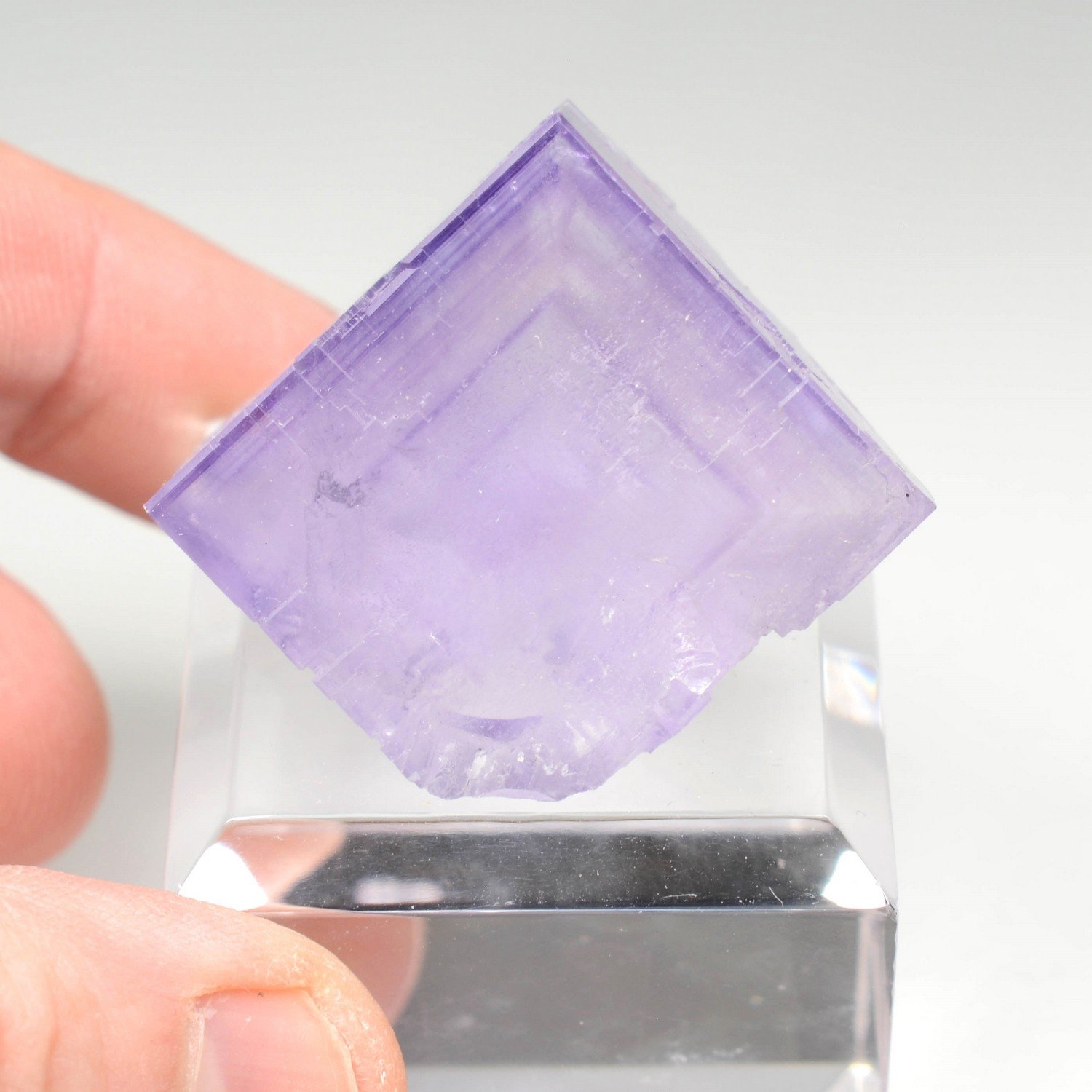 Fluorine - Berbès, Asturies, Espagne