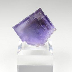 Fluorine - Berbès, Asturies, Espagne