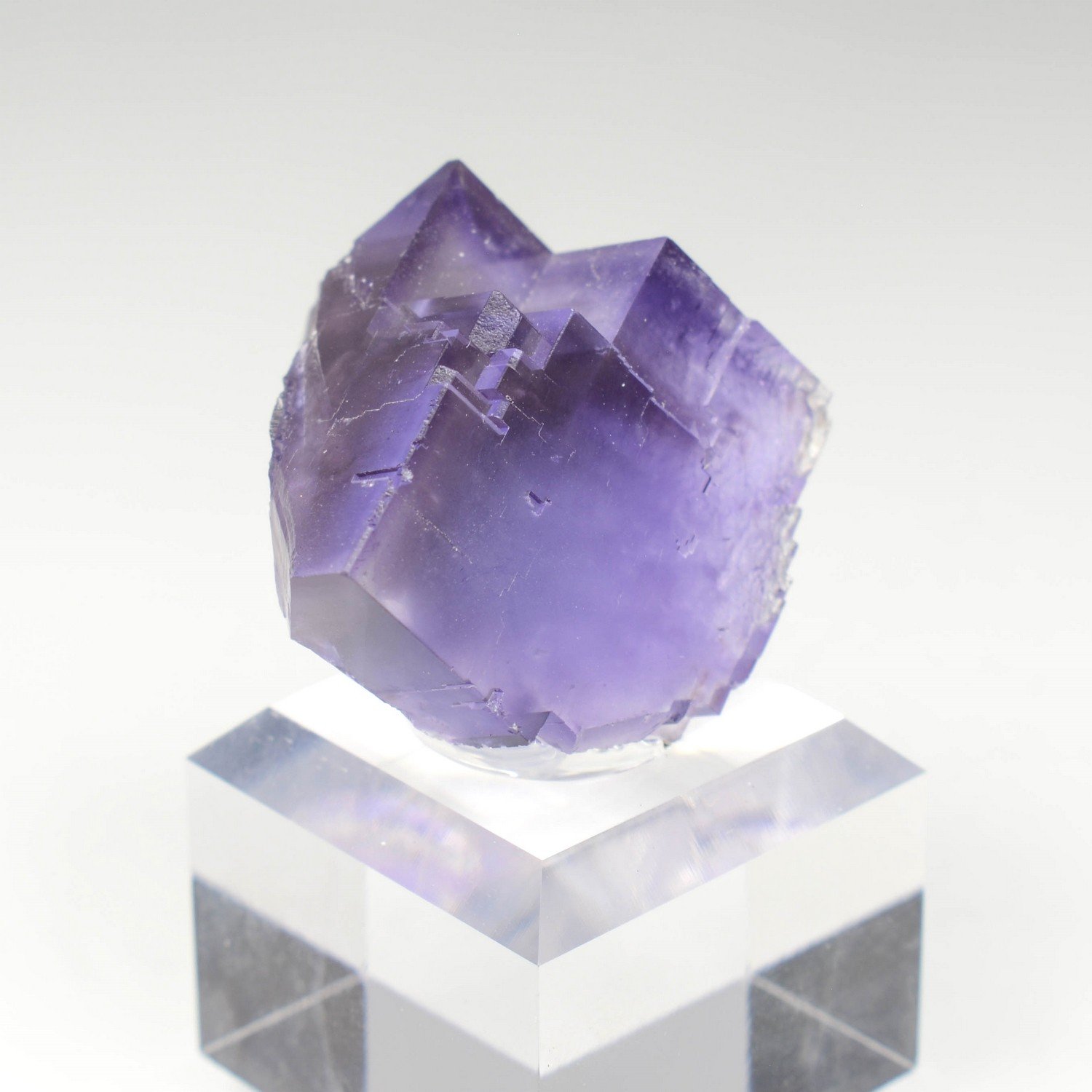 Fluorine - Berbès, Asturies, Espagne