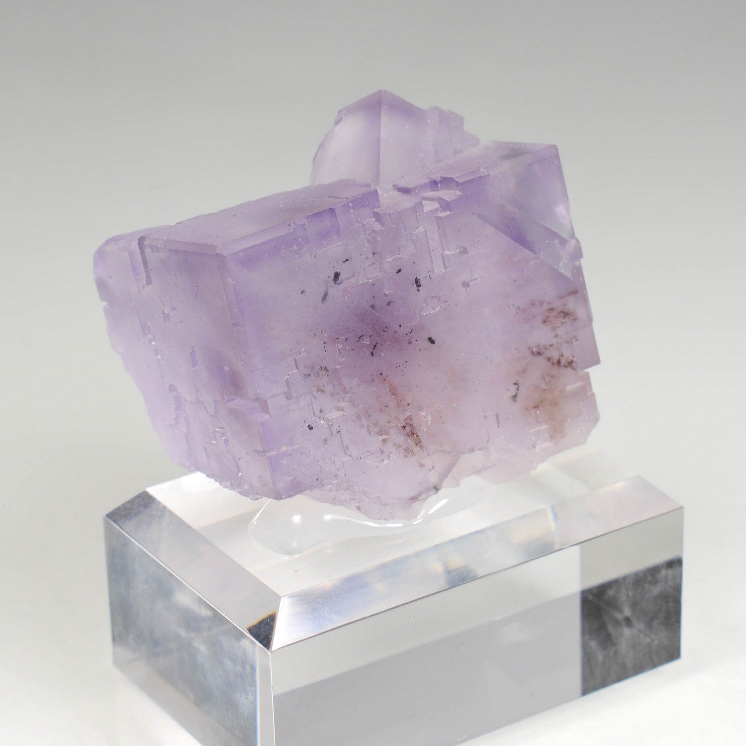 Fluorine - Berbès, Asturies, Espagne