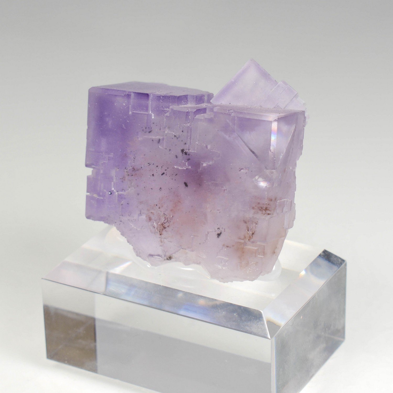 Fluorine - Berbès, Asturies, Espagne