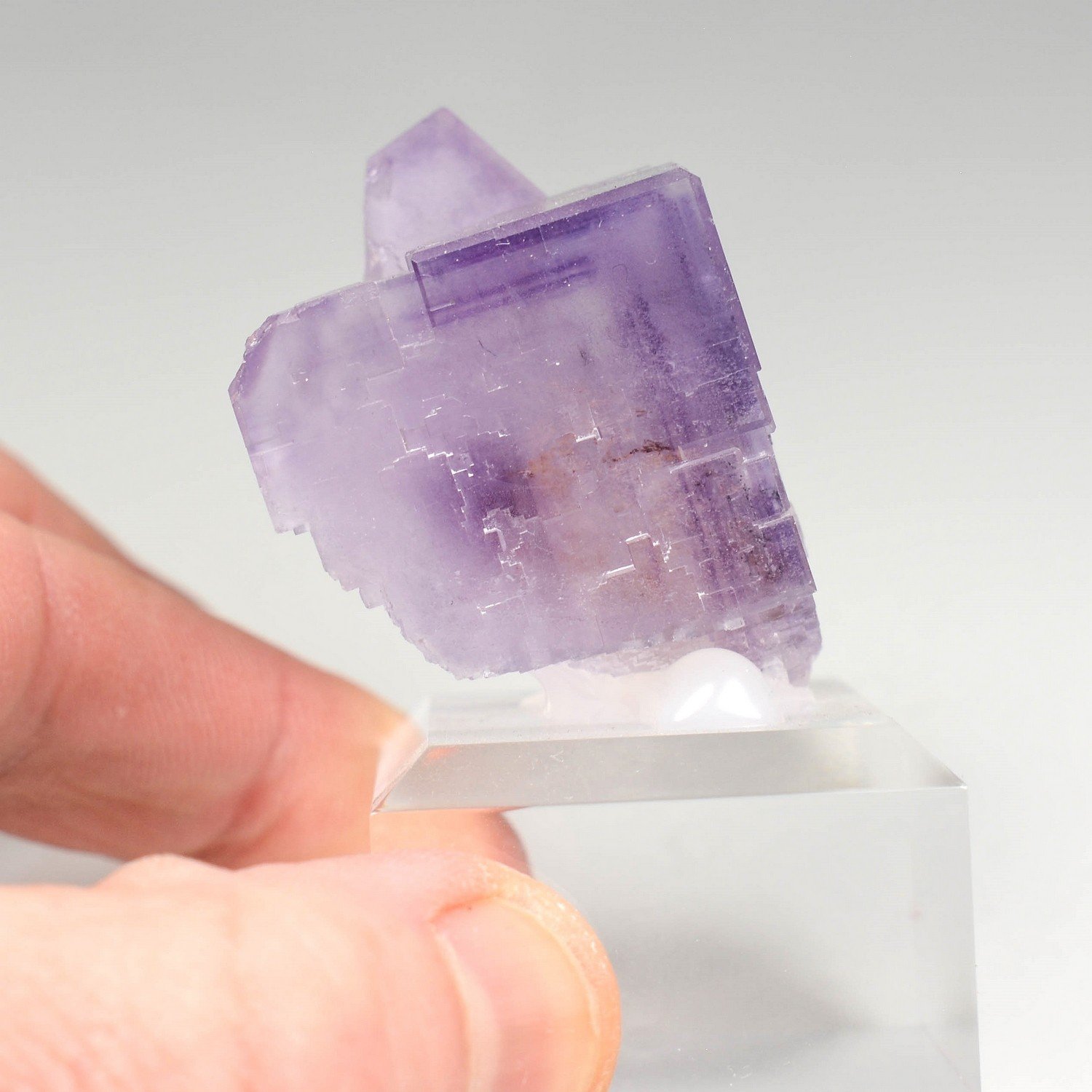 Fluorine - Berbès, Asturies, Espagne