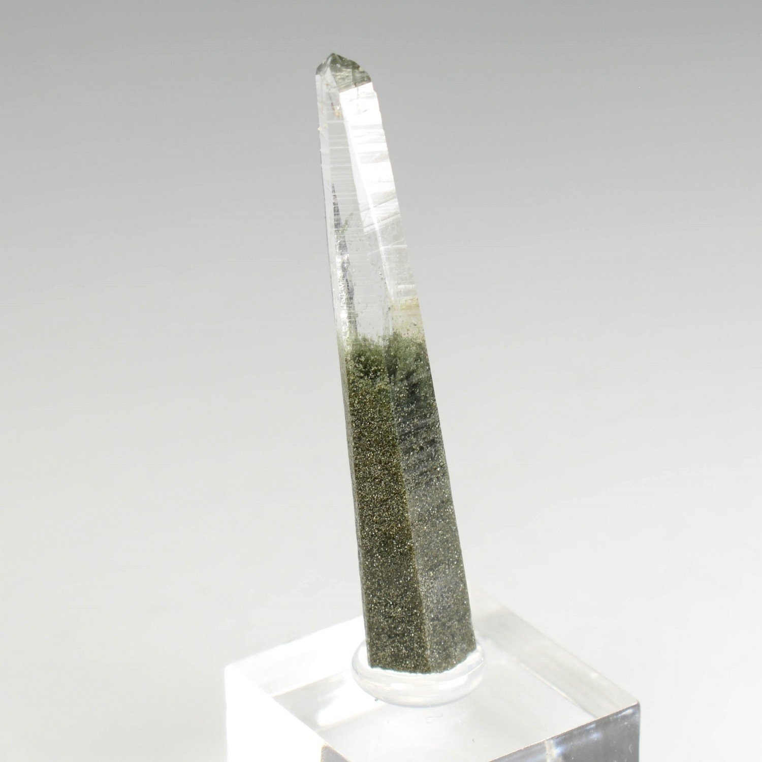 Quartz chloriteux - Ganesh Himal, Nepal Quartz chloriteux - Ganesh Himal, Nepal