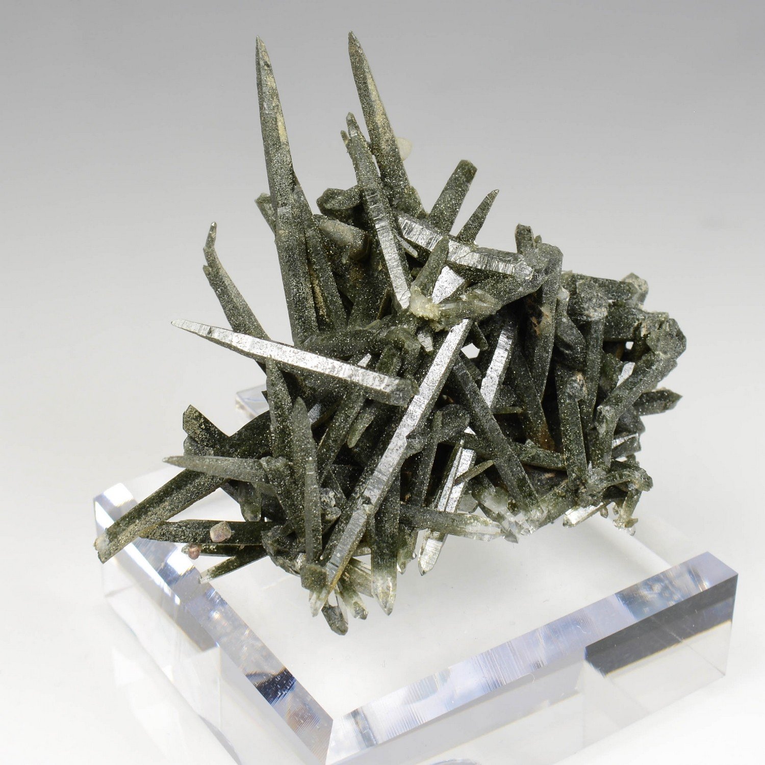 Quartz chloriteux - Ganesh Himal, Népal