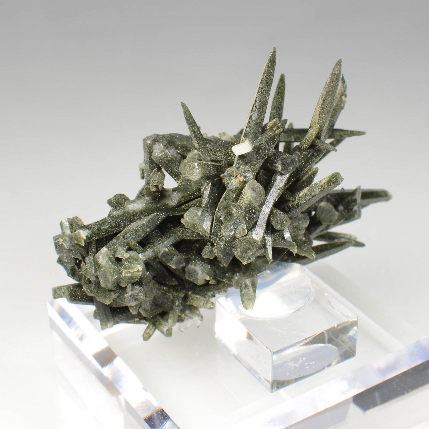 Quartz chloriteux - Ganesh Himal, Népal