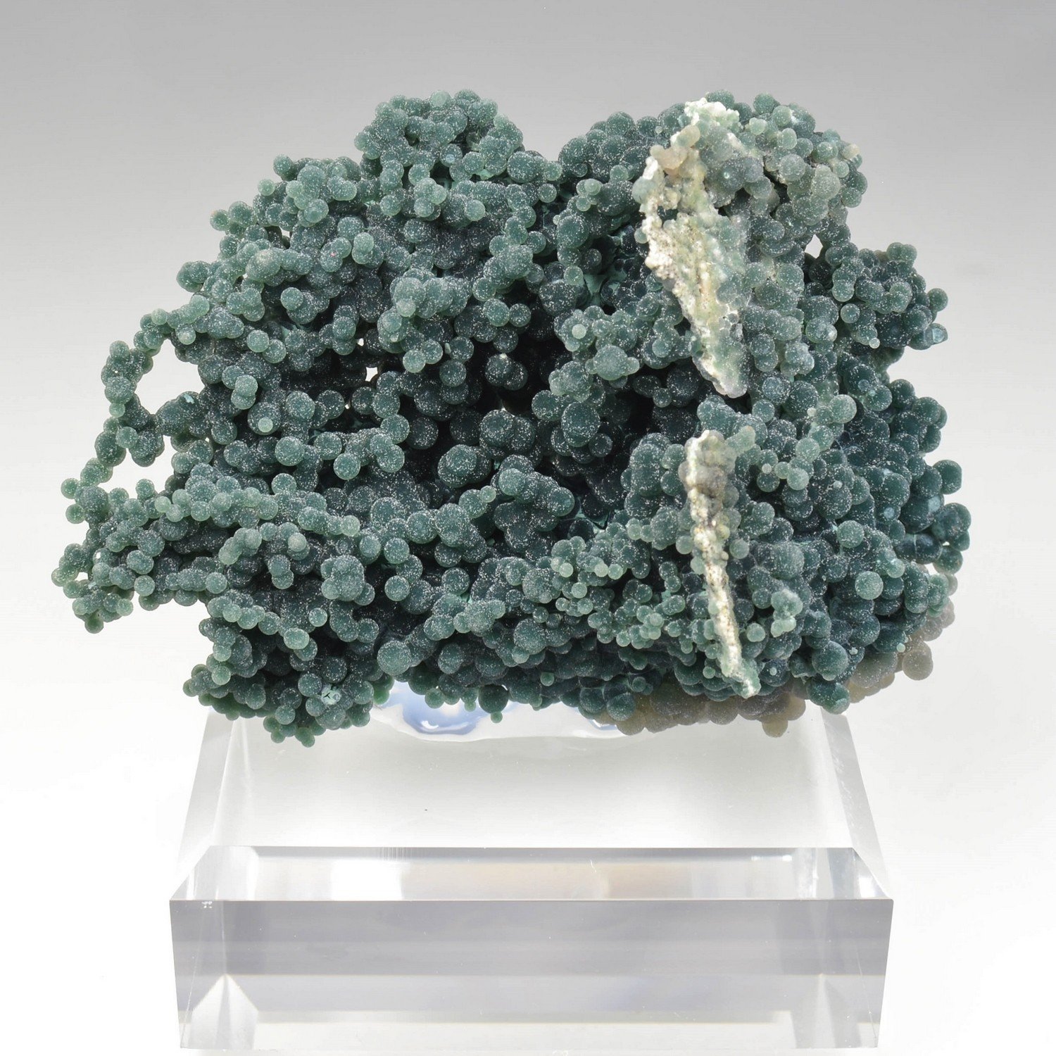 Calcédoine grappe - Mamuju, Sulawesi, Indonésie