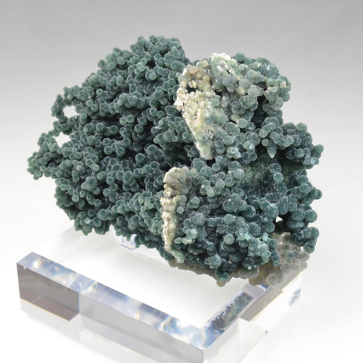 Calcédoine grappe - Mamuju, Sulawesi, Indonésie