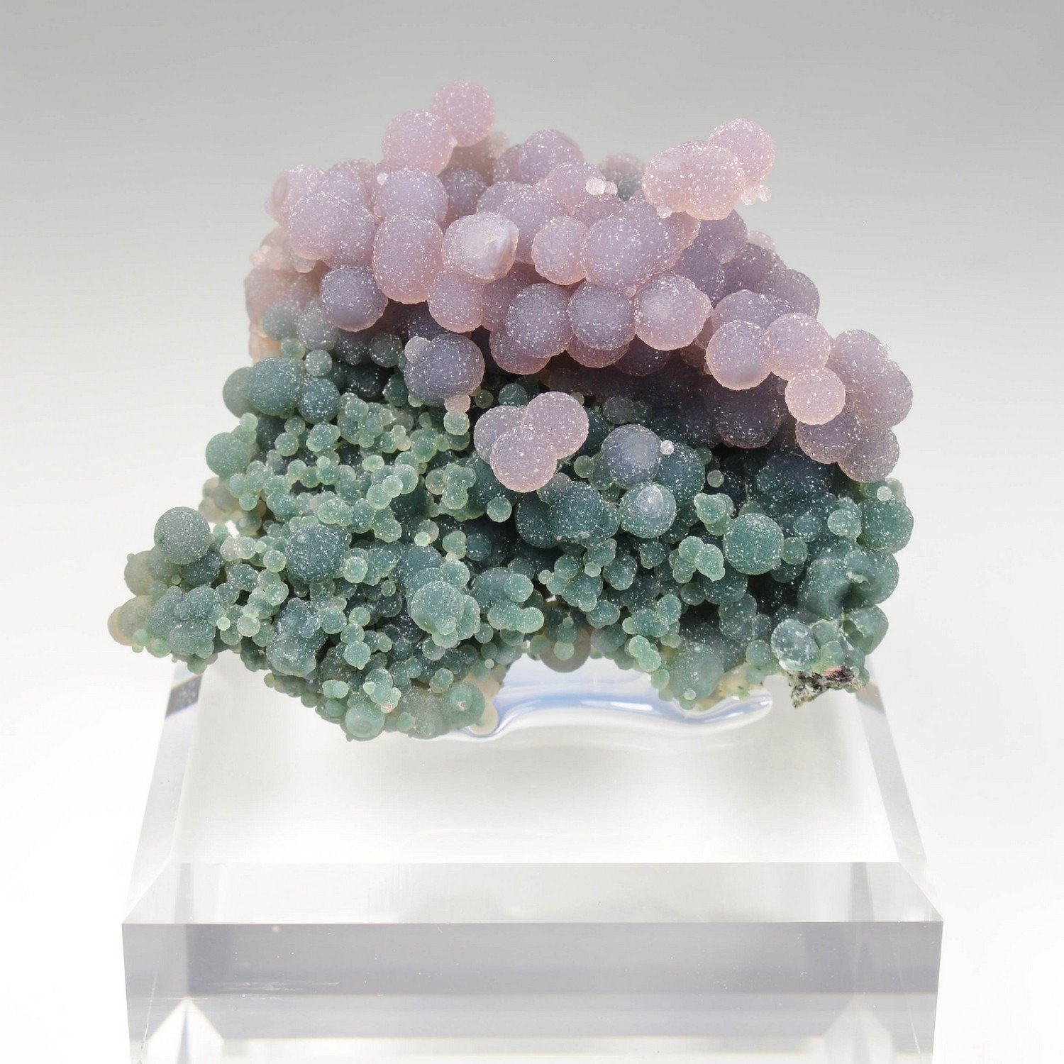 Calcédoine grappe - Mamuju, Sulawesi, Indonésie Calcédoine grappe - Mamuju, Sulawesi, Indonésie