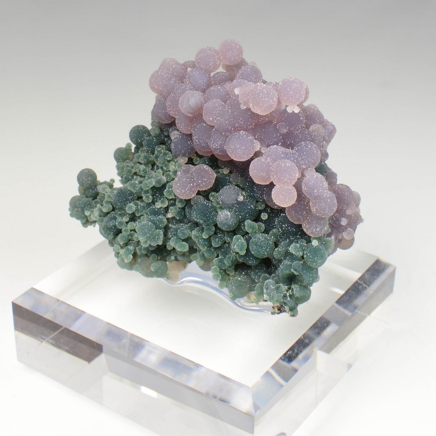 Calcédoine grappe - Mamuju, Sulawesi, Indonésie Calcédoine grappe - Mamuju, Sulawesi, Indonésie