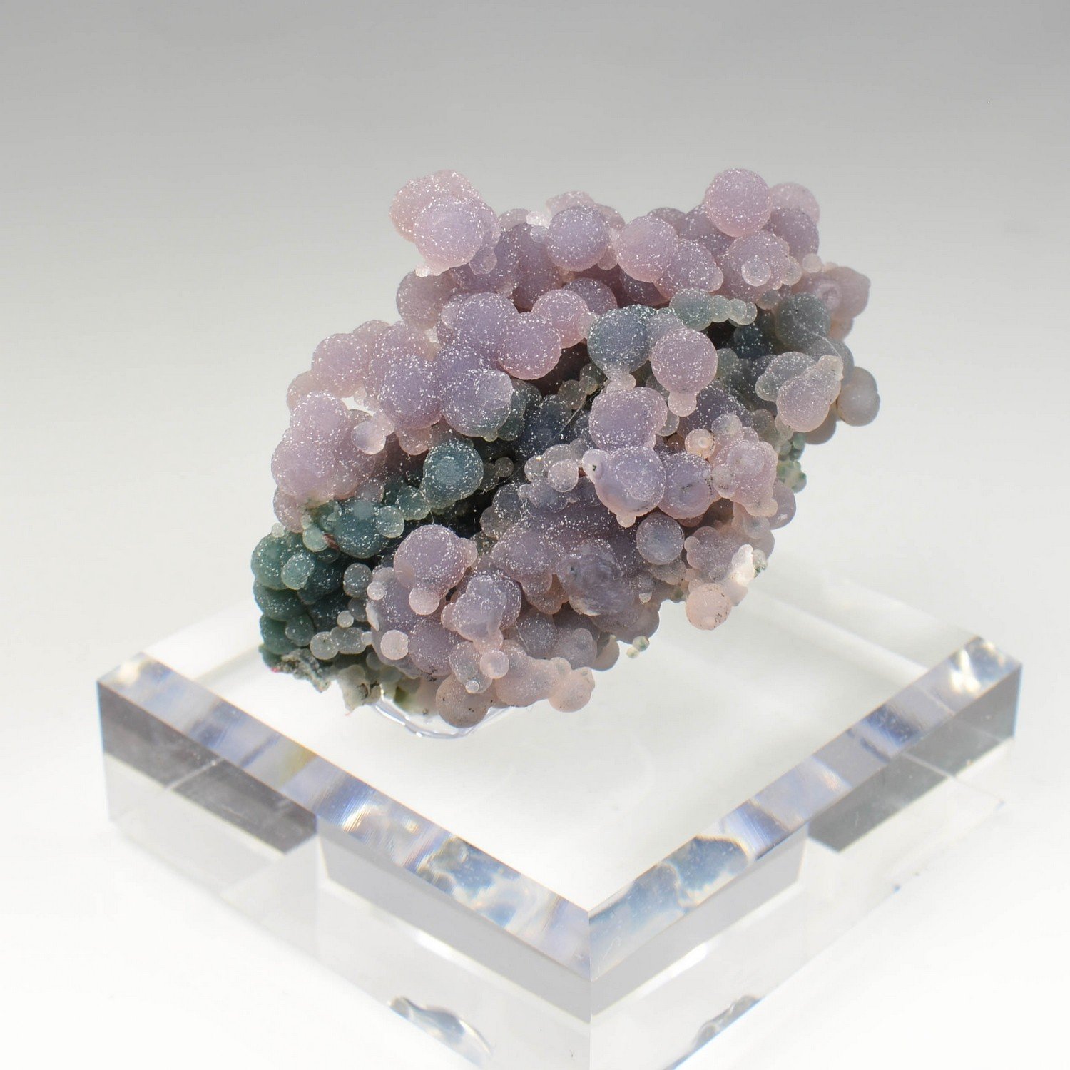 Calcédoine grappe - Mamuju, Sulawesi, Indonésie Calcédoine grappe - Mamuju, Sulawesi, Indonésie