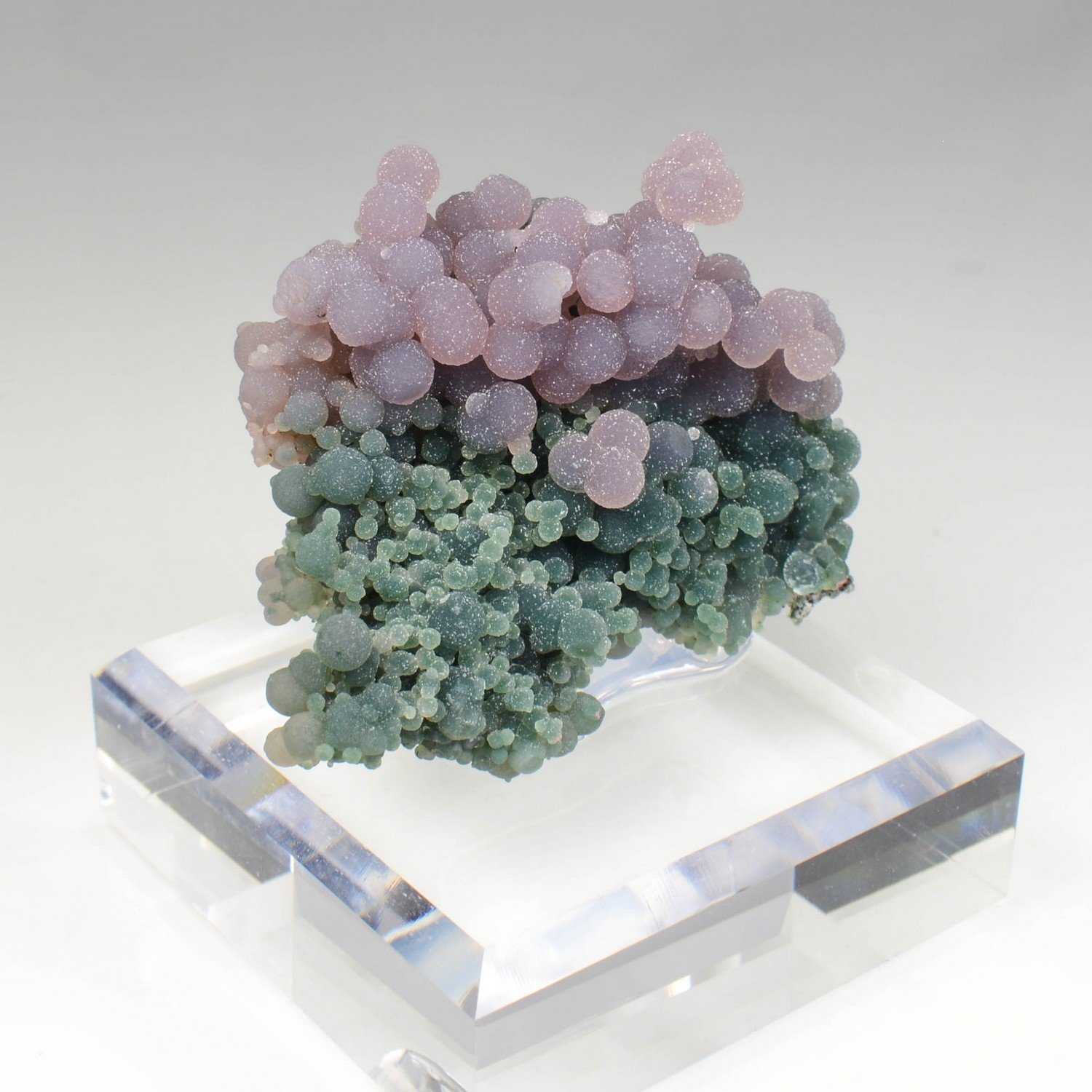 Calcédoine grappe - Mamuju, Sulawesi, Indonésie Calcédoine grappe - Mamuju, Sulawesi, Indonésie