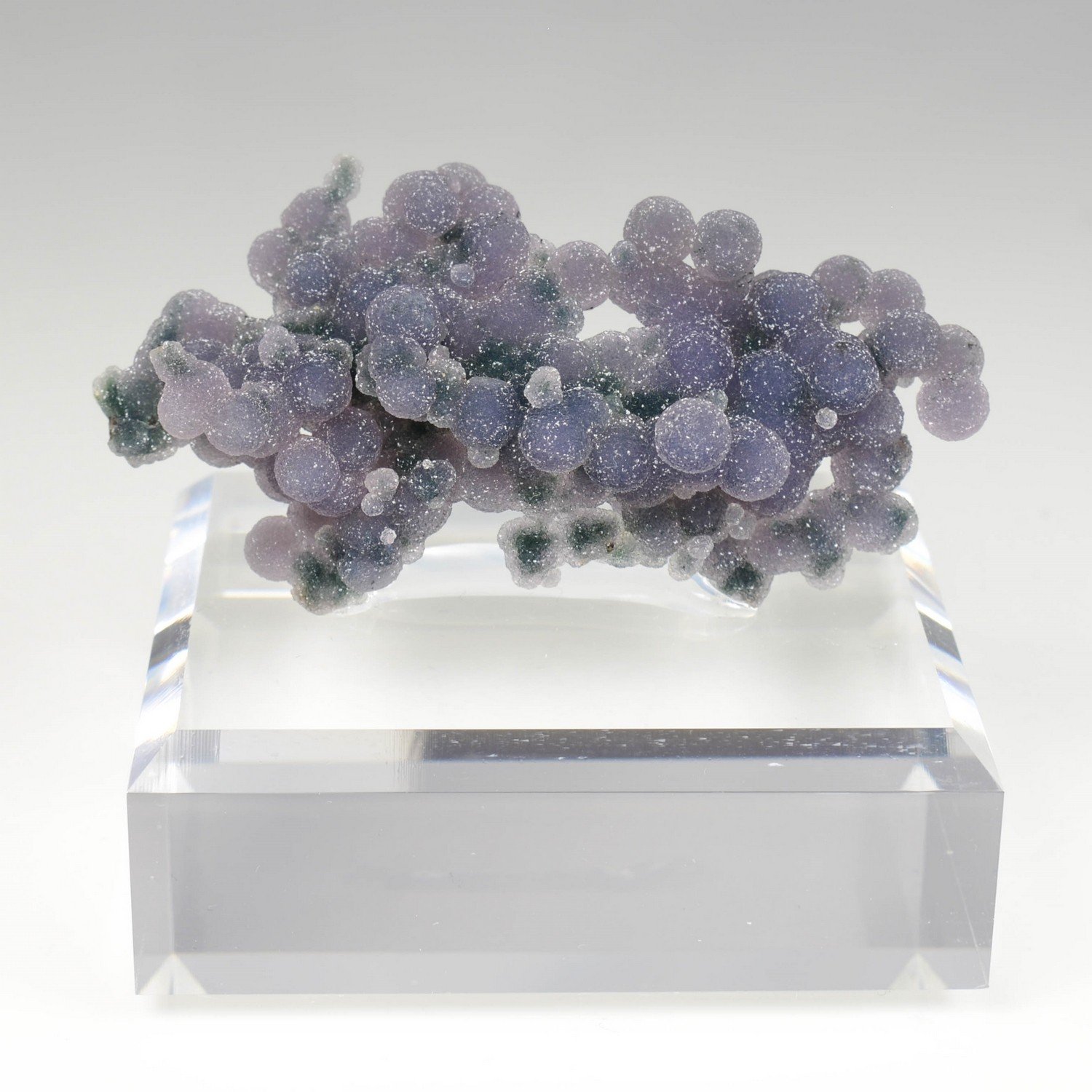 Calcédoine grappe - Mamuju, Sulawesi, Indonésie