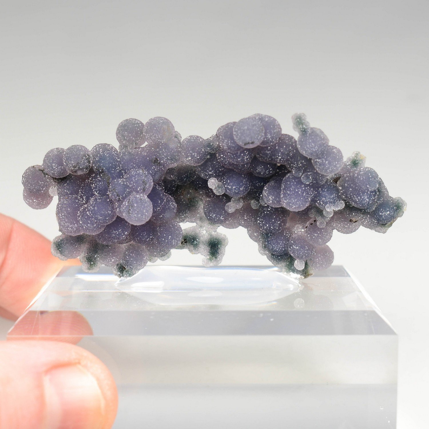 Calcédoine grappe - Mamuju, Sulawesi, Indonésie