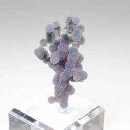 Agate grape - Mamuju, Sulawesi, Indonesia