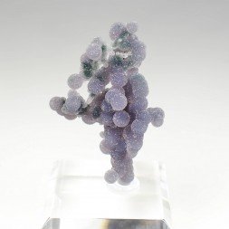 Agate grape - Mamuju, Sulawesi, Indonesia