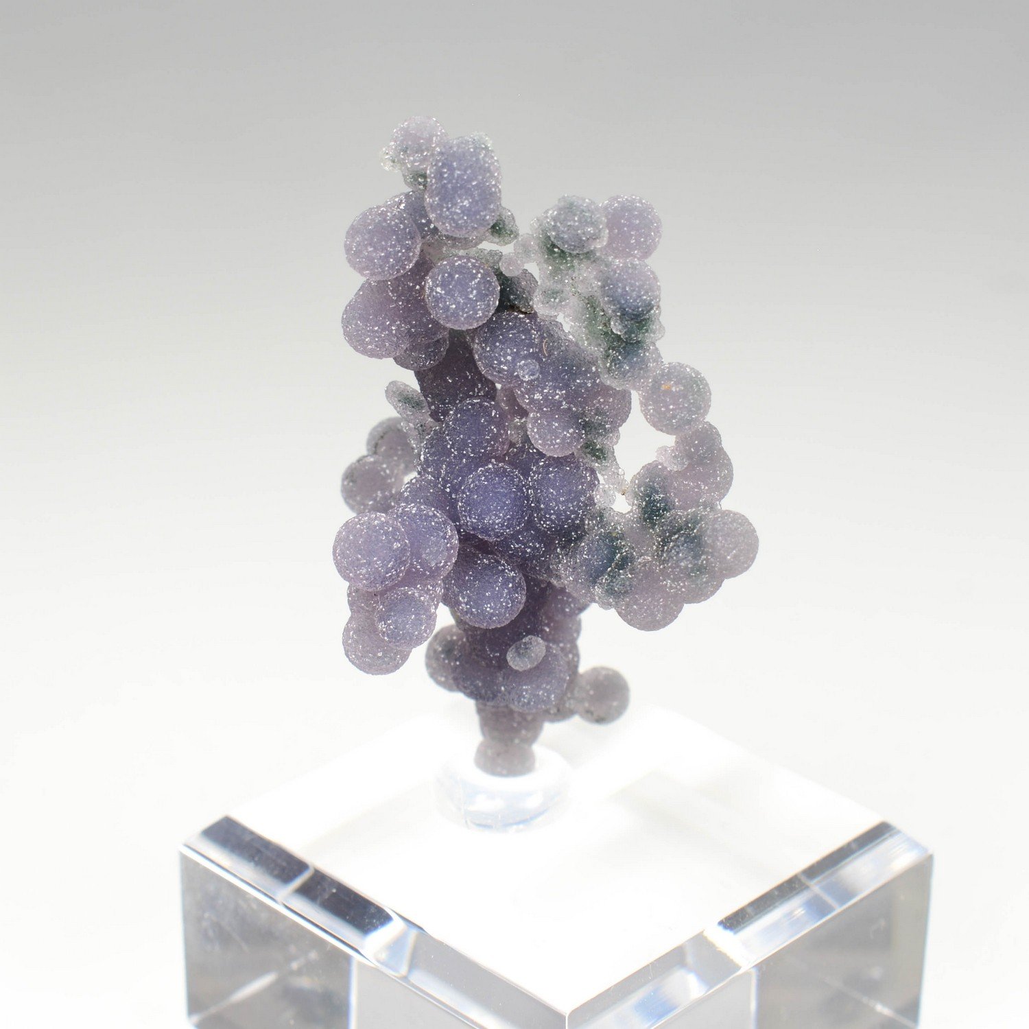 Calcédoine grappe - Mamuju, Sulawesi, Indonésie