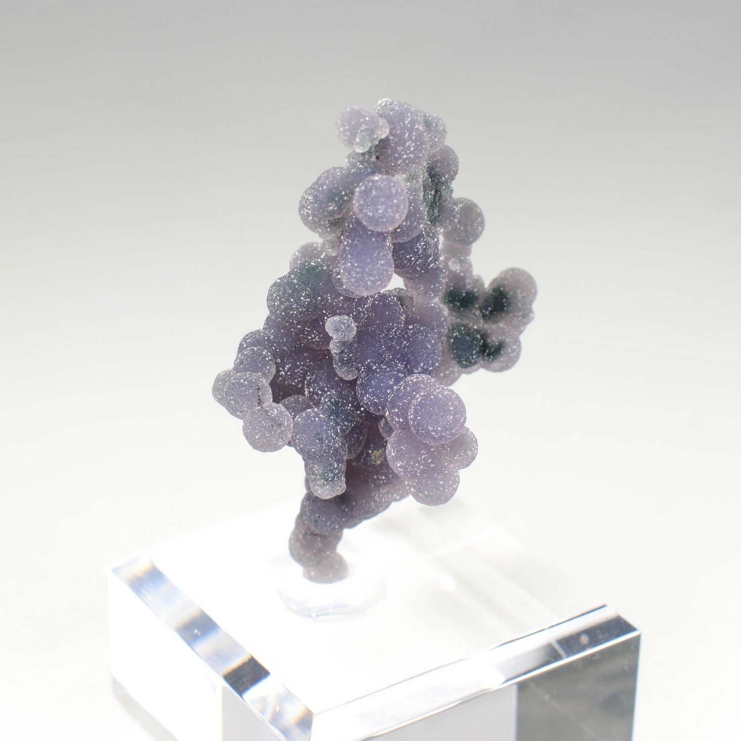 Calcédoine grappe - Mamuju, Sulawesi, Indonésie