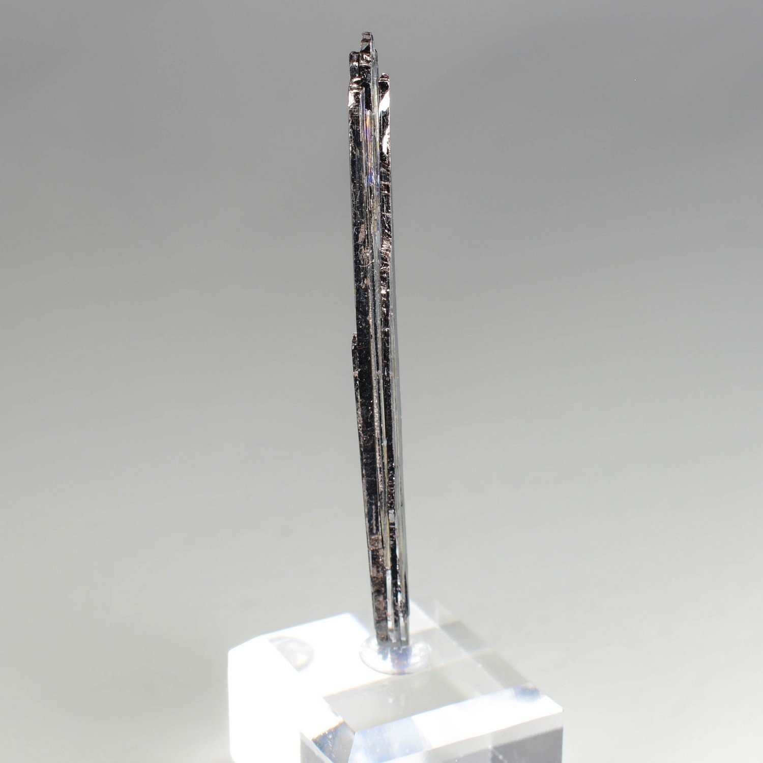 Kermésite - Mine Caiwa, Shaanxi, Chine