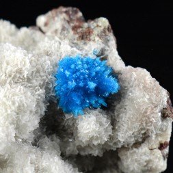 Cavansite - Wagholi Quarries, Poona, Maharashtra, India