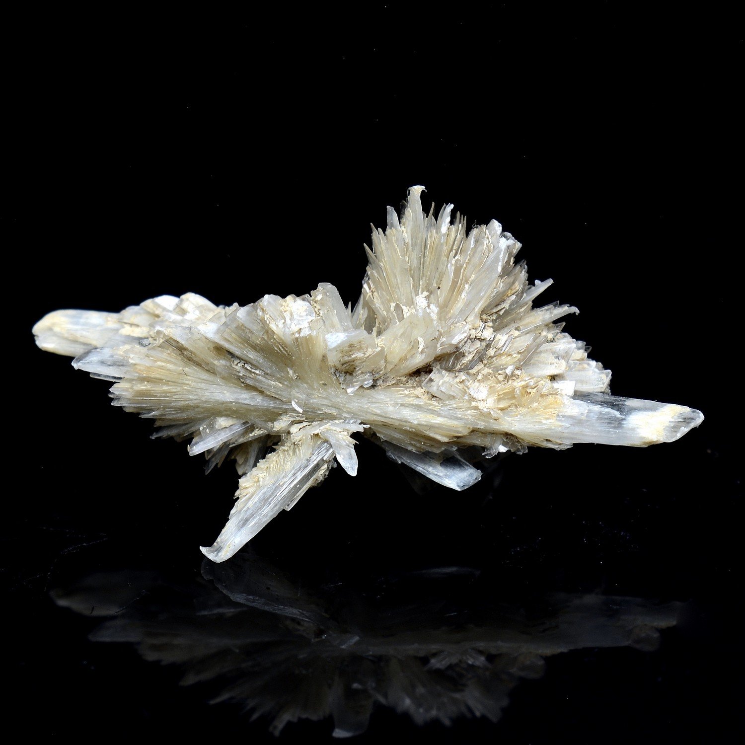 Gypsum - Angervilliers, Essonne, France