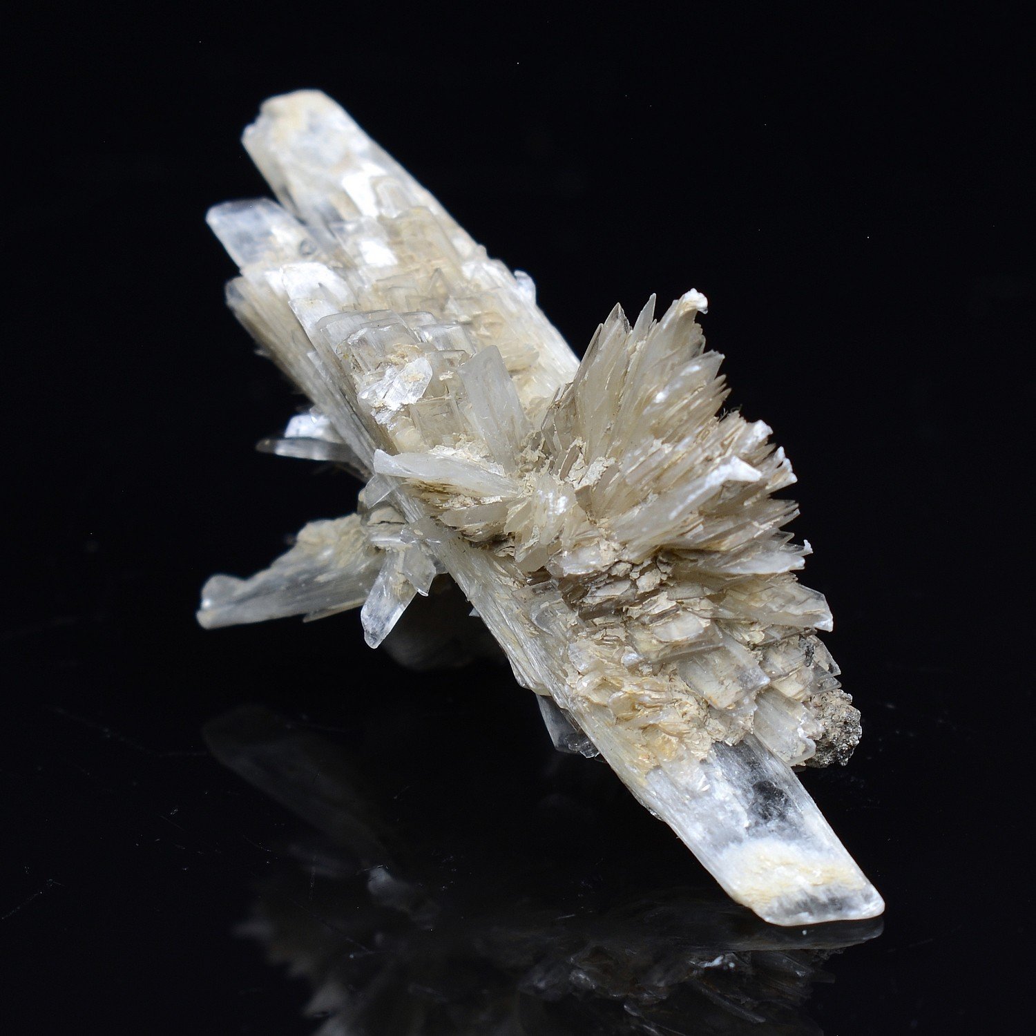 Gypsum - Angervilliers, Essonne, France