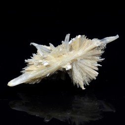 Gypsum - Angervilliers, Essonne, France