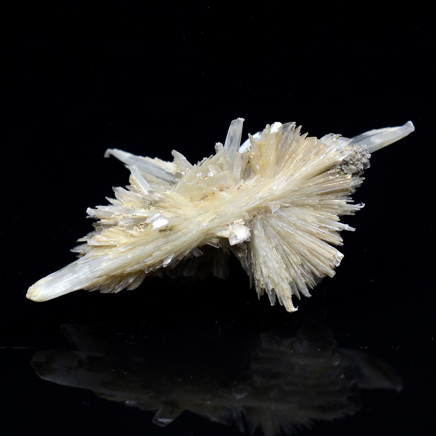 Gypsum - Angervilliers, Essonne, France