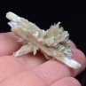 Gypsum - Angervilliers, Essonne, France