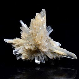 Gypsum - Angervilliers, Essonne, France