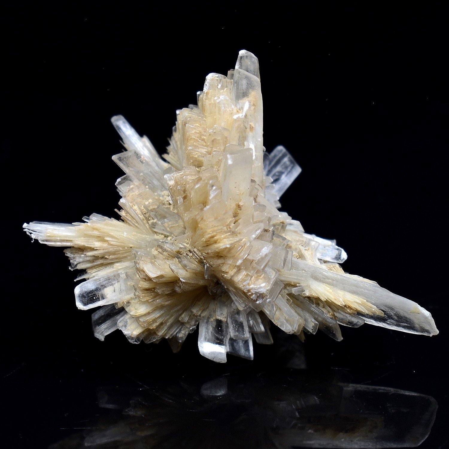 Gypsum - Angervilliers, Essonne, France