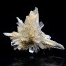 Gypsum - Angervilliers, Essonne, France