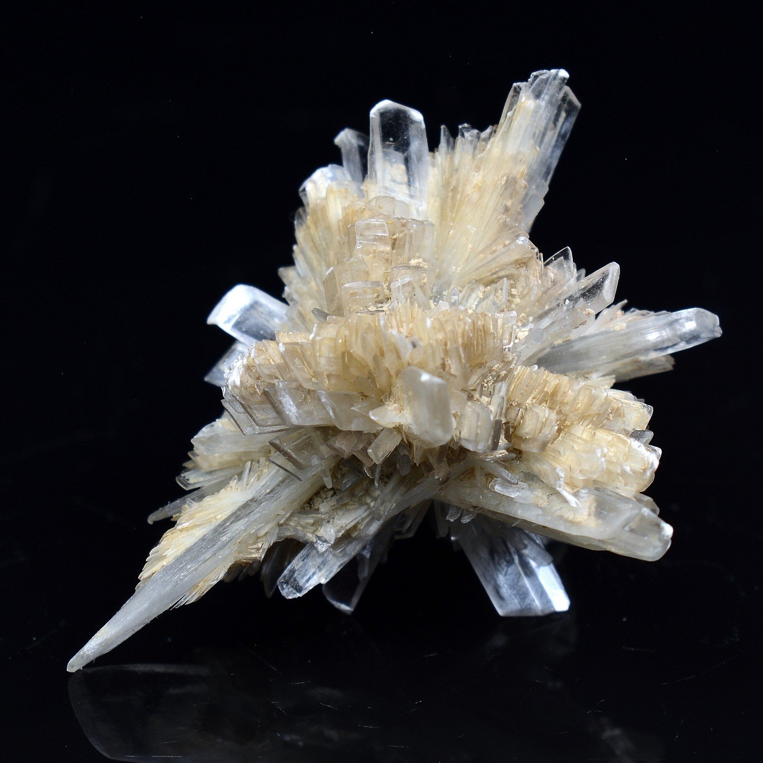 Gypsum - Angervilliers, Essonne, France