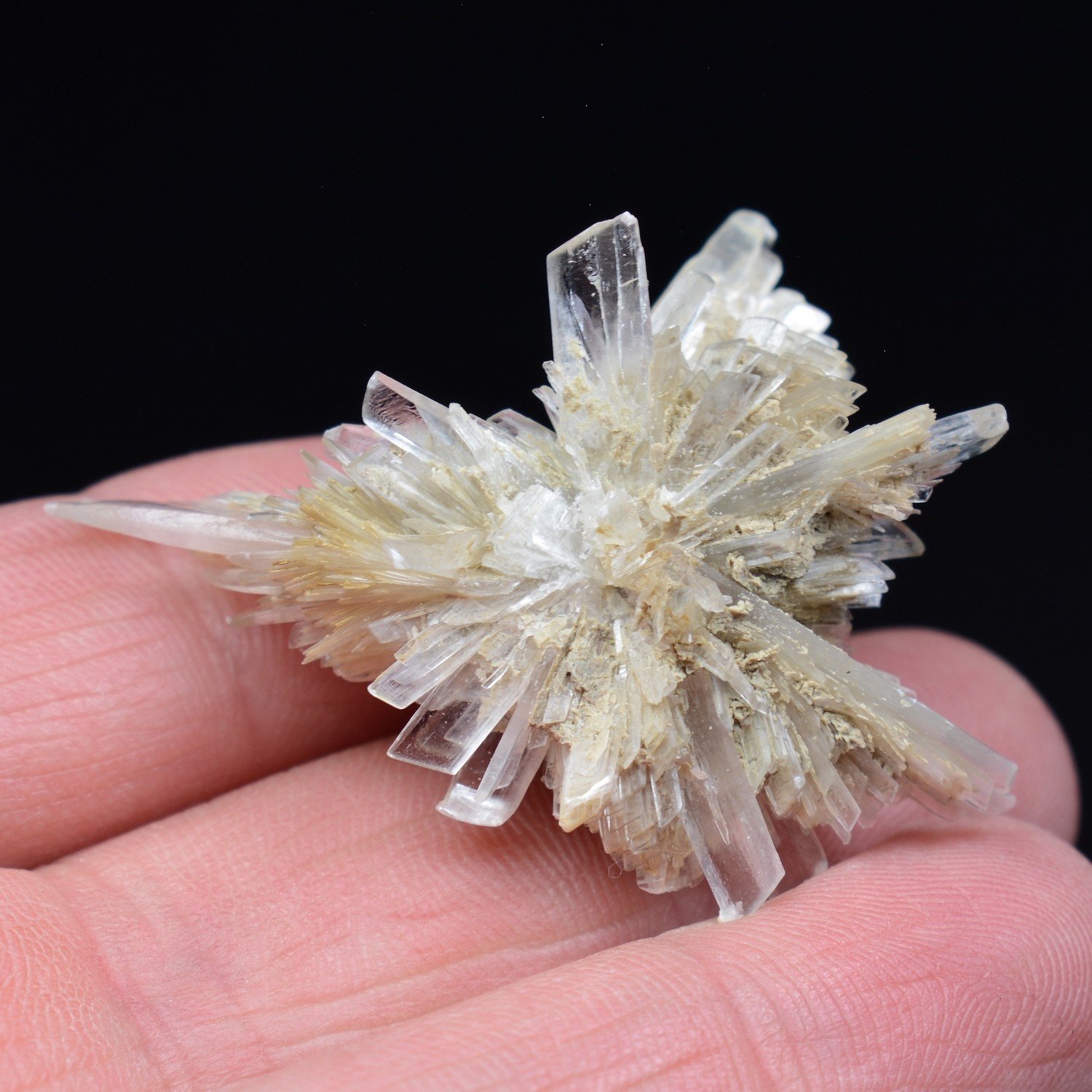 Gypsum - Angervilliers, Essonne, France