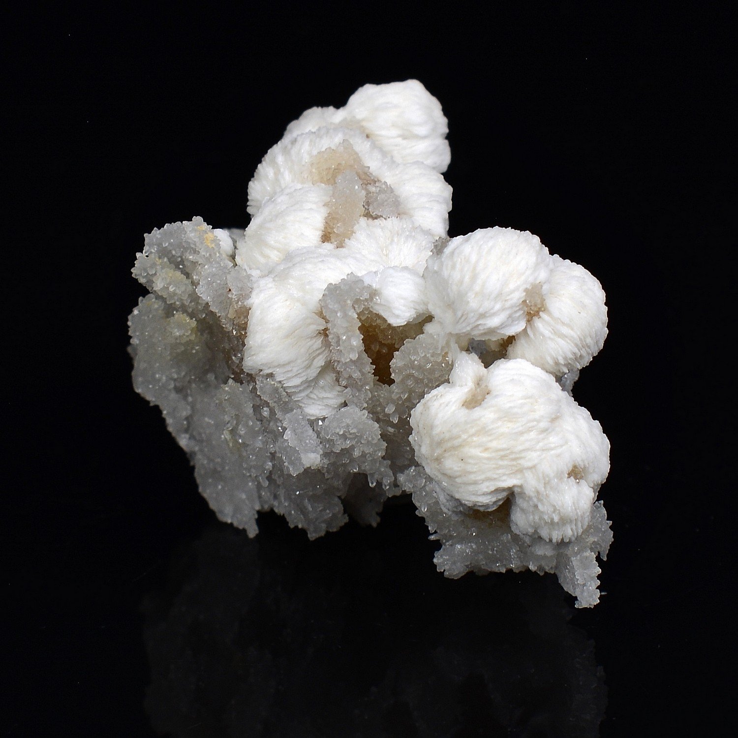 Baryte on quartz - Cuzac, Lot, France