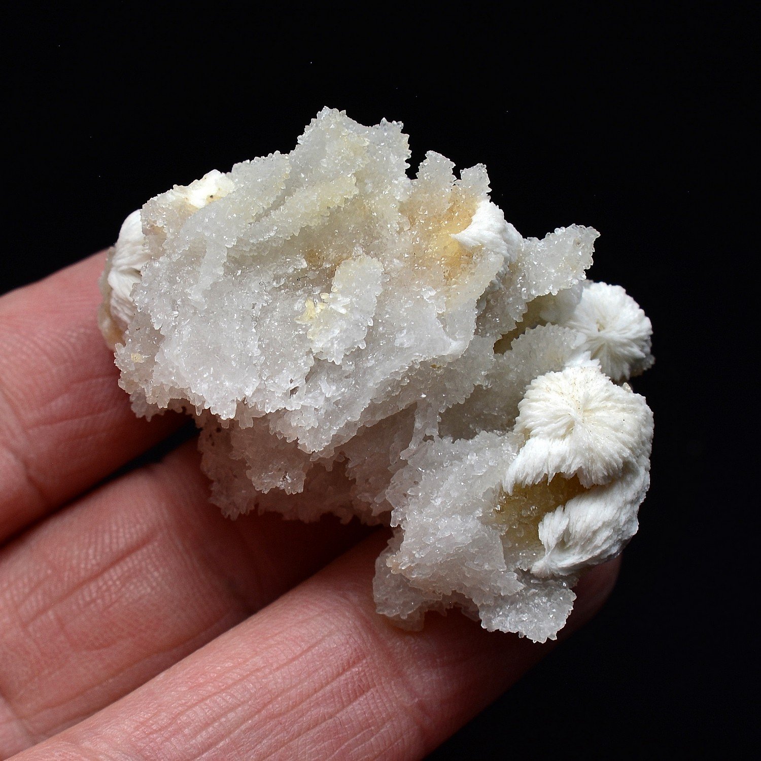 Baryte on quartz - Cuzac, Lot, France