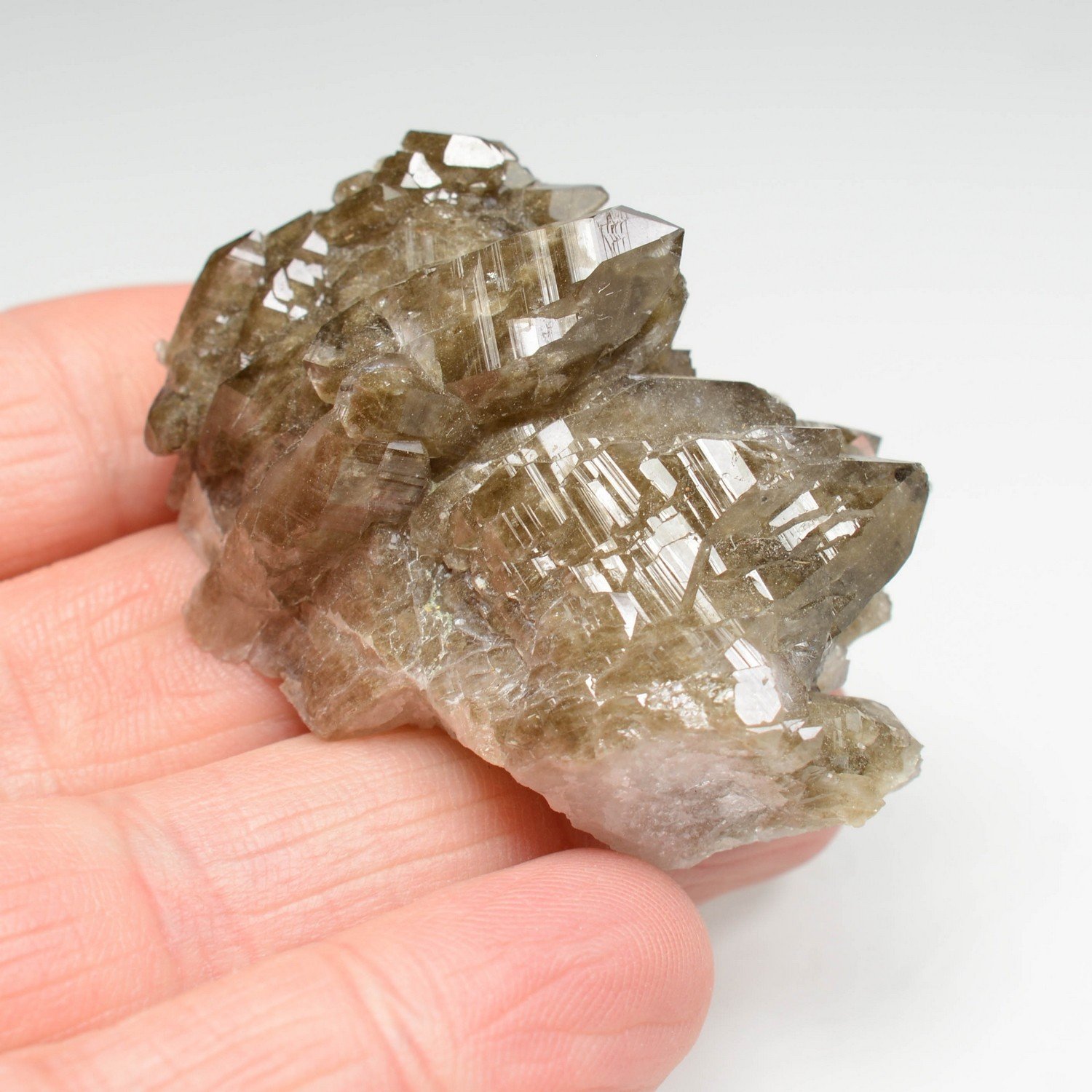 Quartz à inclusions de chlorite - La Lauzière, Savoie, France