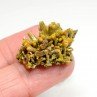 Pyromorphite - Les Farges, Ussel, Corrèze, France