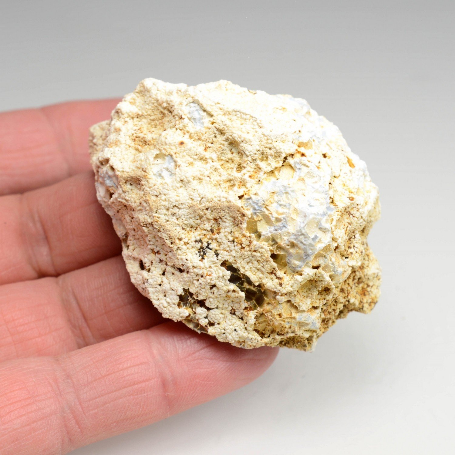 Chalcedony geode - Charroux, Vienne, France Chalcedony geode - Charroux, Vienne, France