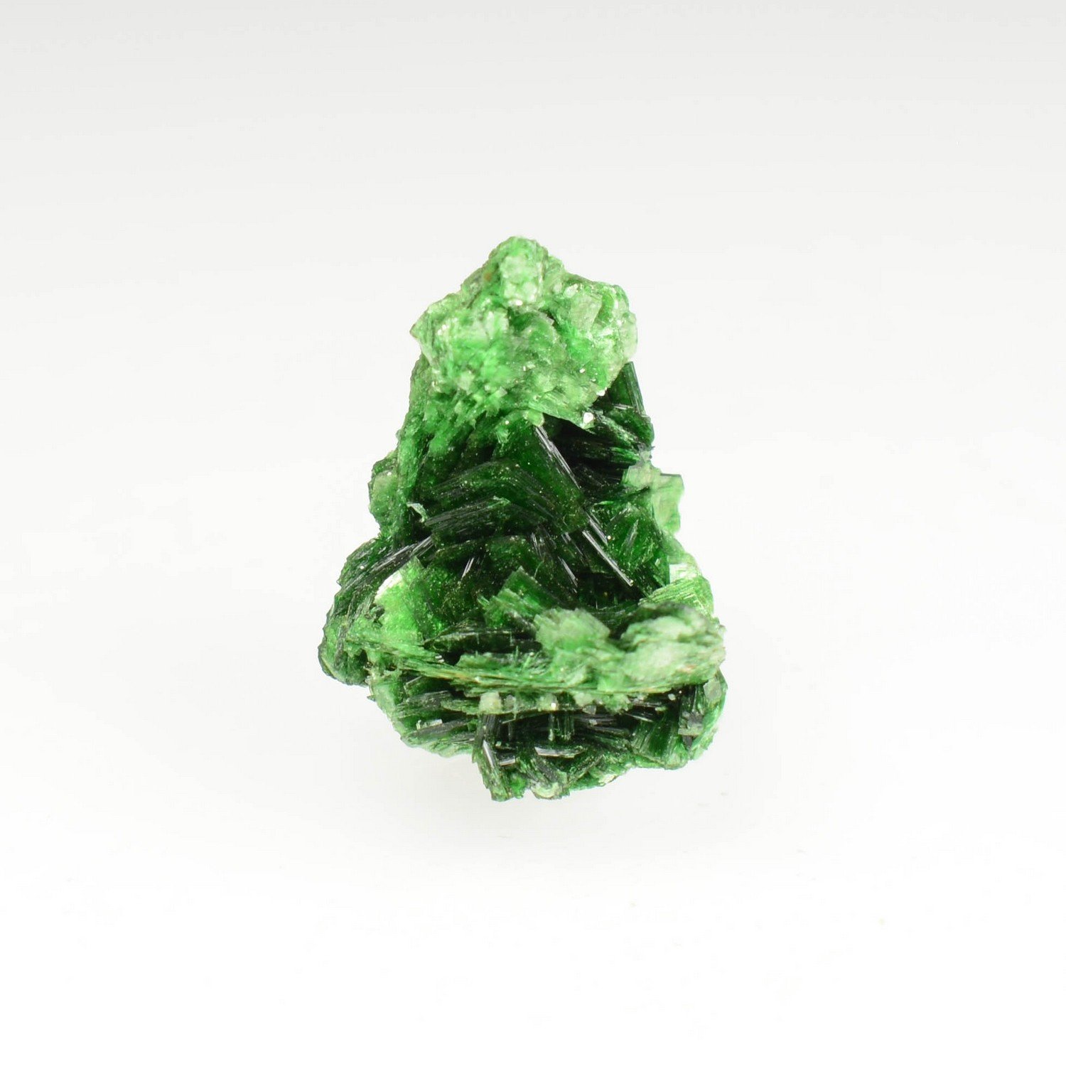 Torbernite - Mine Musonoi, Katanga, RD Congo (ex-Zaire)